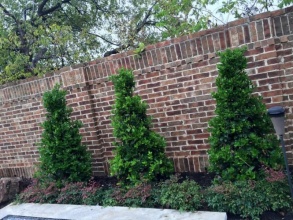 Кирпичный забор сплошной 12 метров фото в Черкизово